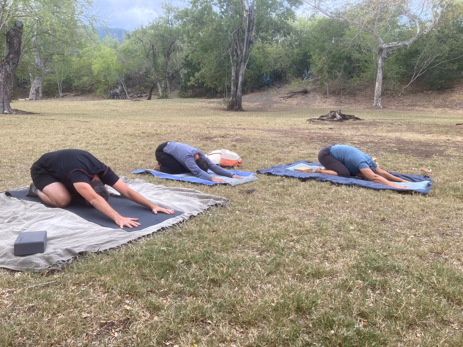 Groupe pratiquant en plein air sur l'herbe